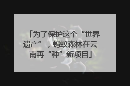 为了保护这个“世界遗产”，蚂蚁森林在云南再“种”新项目