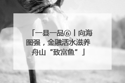 一县一品⑥丨向海图强，金融活水滋养舟山“致富鱼”