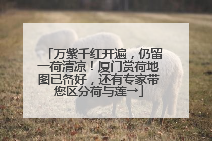 万紫千红开遍，仍留一荷清凉！厦门赏荷地图已备好，还有专家带您区分荷与莲→
