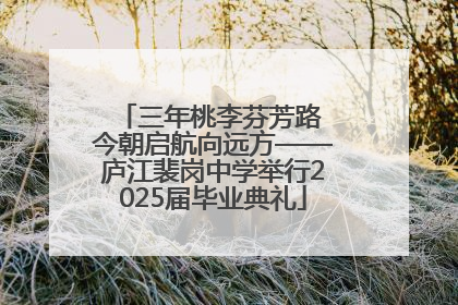 三年桃李芬芳路 今朝启航向远方——庐江裴岗中学举行2025届毕业典礼