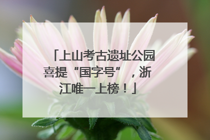 上山考古遗址公园喜提“国字号”，浙江唯一上榜！