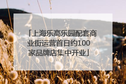 上海乐高乐园配套商业街运营首日约100家品牌店集中开业