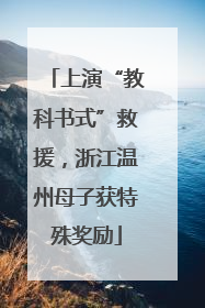 上演“教科书式”救援，浙江温州母子获特殊奖励