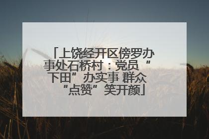 上饶经开区傍罗办事处石桥村：党员“下田”办实事 群众“点赞”笑开颜