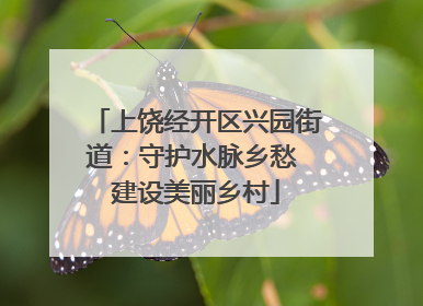 上饶经开区兴园街道：守护水脉乡愁 建设美丽乡村