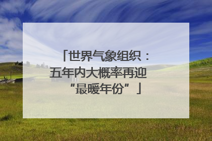 世界气象组织：五年内大概率再迎“最暖年份”