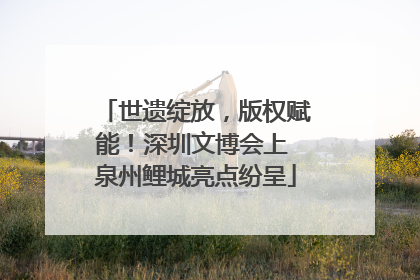 世遗绽放，版权赋能！深圳文博会上 泉州鲤城亮点纷呈