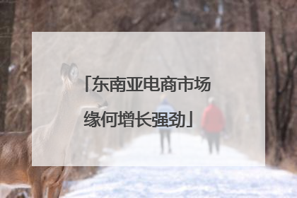 东南亚电商市场缘何增长强劲