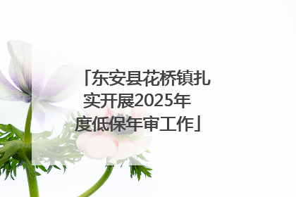 东安县花桥镇扎实开展2025年度低保年审工作