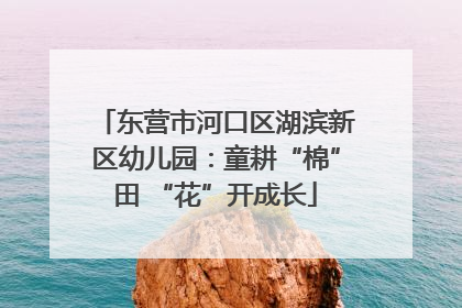 东营市河口区湖滨新区幼儿园：童耕“棉”田 “花”开成长