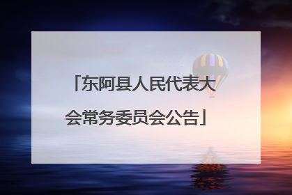 东阿县人民代表大会常务委员会公告