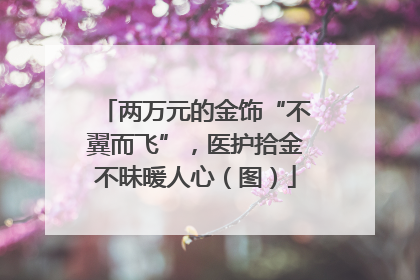 两万元的金饰“不翼而飞”，医护拾金不昧暖人心（图）