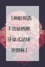 两蚌埠选手出征西班牙桌式足球世界杯