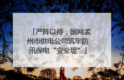 严阵以待，国网孟州市供电公司筑牢防汛保电“安全堤”