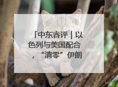 中东睿评｜以色列与美国配合，“清零”伊朗核能力？