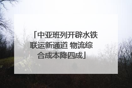 中亚班列开辟水铁联运新通道 物流综合成本降四成