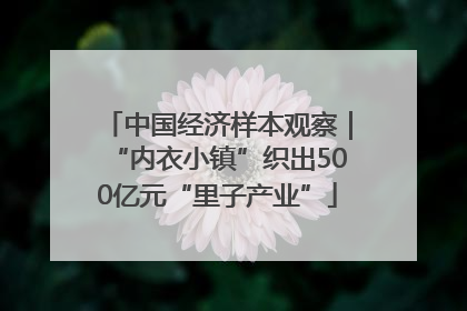 中国经济样本观察｜“内衣小镇”织出500亿元“里子产业”