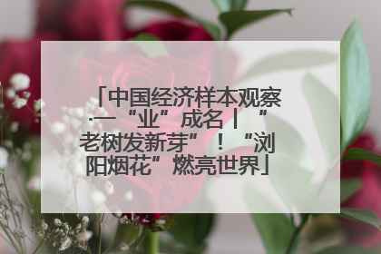 中国经济样本观察·一“业”成名丨“老树发新芽”！“浏阳烟花”燃亮世界