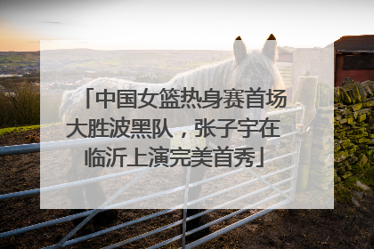 中国女篮热身赛首场大胜波黑队，张子宇在临沂上演完美首秀