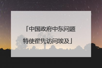 中国政府中东问题特使翟隽访问埃及