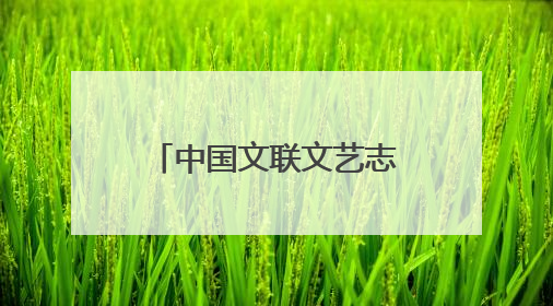 中国文联文艺志愿服务小分队走进海口骑楼老街