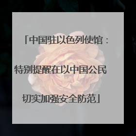 中国驻以色列使馆：特别提醒在以中国公民切实加强安全防范