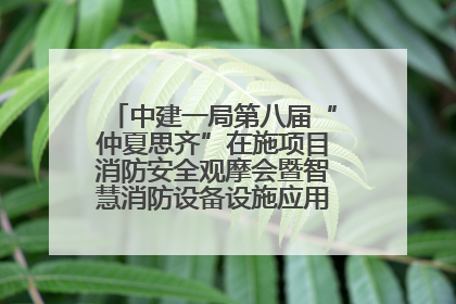 中建一局第八届“仲夏思齐”在施项目消防安全观摩会暨智慧消防设备设施应用交流会成功举办