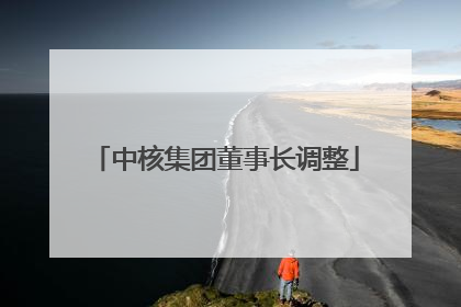 中核集团董事长调整
