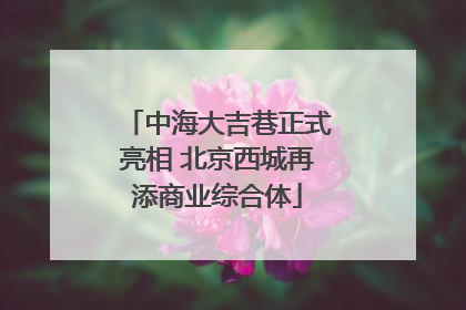 中海大吉巷正式亮相 北京西城再添商业综合体