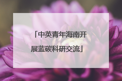 中英青年海南开展蓝碳科研交流