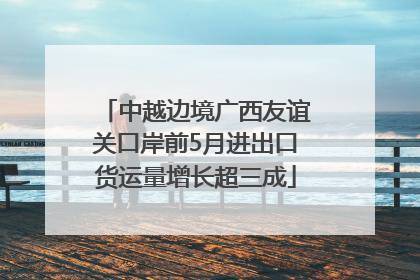 中越边境广西友谊关口岸前5月进出口货运量增长超三成