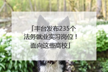 丰台发布235个法务就业实习岗位！面向这些高校