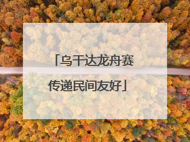 乌干达龙舟赛传递民间友好