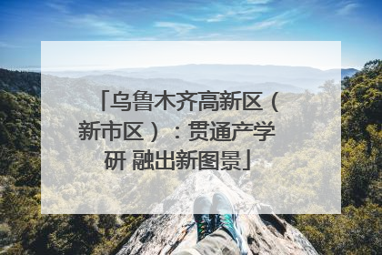 乌鲁木齐高新区（新市区）：贯通产学研 融出新图景