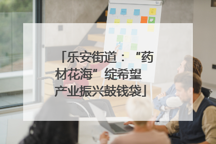 乐安街道：“药材花海”绽希望 产业振兴鼓钱袋