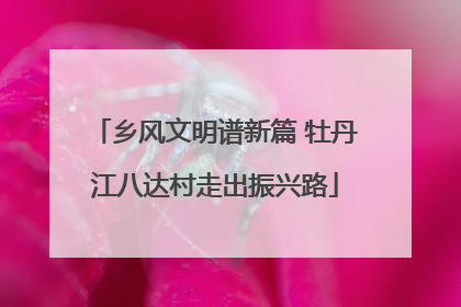 乡风文明谱新篇 牡丹江八达村走出振兴路