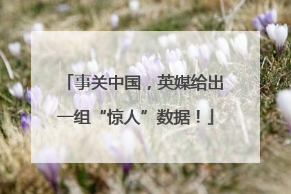 事关中国，英媒给出一组“惊人”数据！