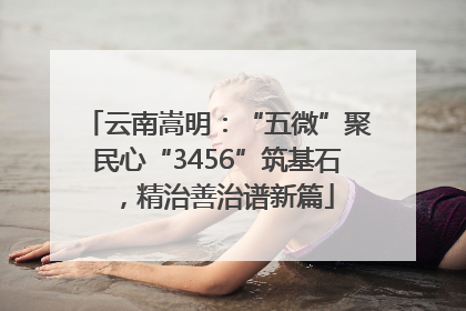 云南嵩明：“五微”聚民心“3456”筑基石，精治善治谱新篇