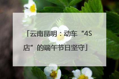 云南昆明：动车“4S店”的端午节日坚守