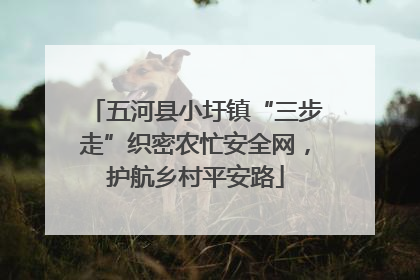 五河县小圩镇“三步走”织密农忙安全网，护航乡村平安路