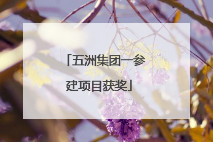 五洲集团一参建项目获奖