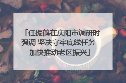 任振鹤在庆阳市调研时强调 坚决守牢底线任务 加快推动老区振兴