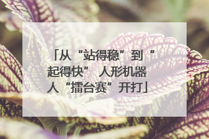 从“站得稳”到“起得快” 人形机器人“擂台赛”开打