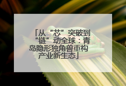 从“芯”突破到“链”动全球：青岛隐形独角兽重构产业新生态