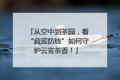 从空中到茶园，看“藏蓝防线”如何守护云雾茶香！