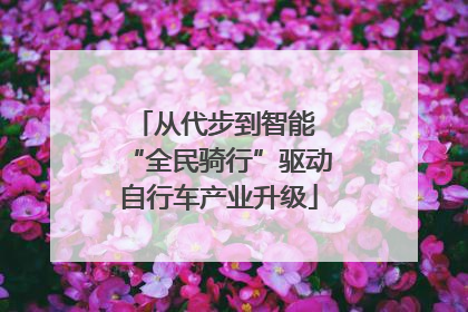 从代步到智能 “全民骑行”驱动自行车产业升级