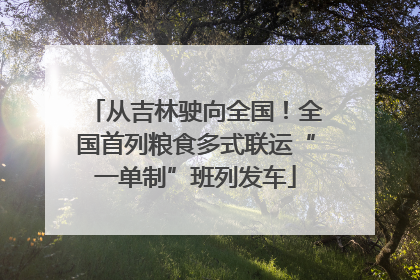 从吉林驶向全国！全国首列粮食多式联运“一单制”班列发车