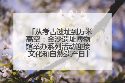 从考古遗址到万米高空：金沙遗址博物馆举办系列活动迎接文化和自然遗产日
