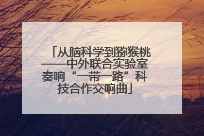 从脑科学到猕猴桃——中外联合实验室奏响“一带一路”科技合作交响曲
