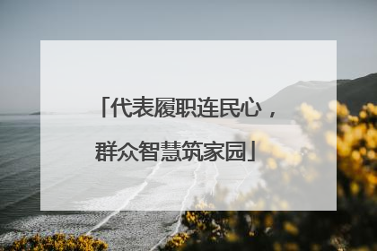 代表履职连民心，群众智慧筑家园